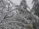 la neige revient à bessières! c'est fou!