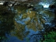 Reflets dans le Lens, petite rivière à Cassagne