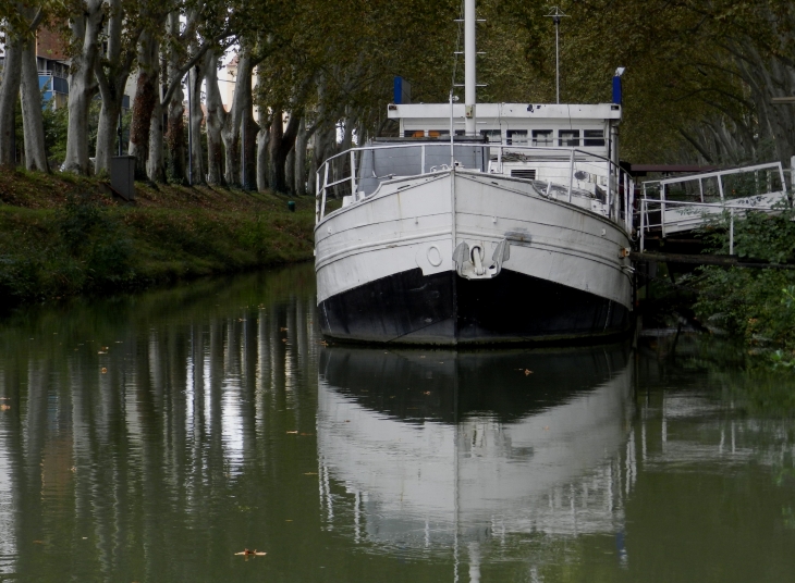 Péniche sur le canal de Brienne - Toulouse