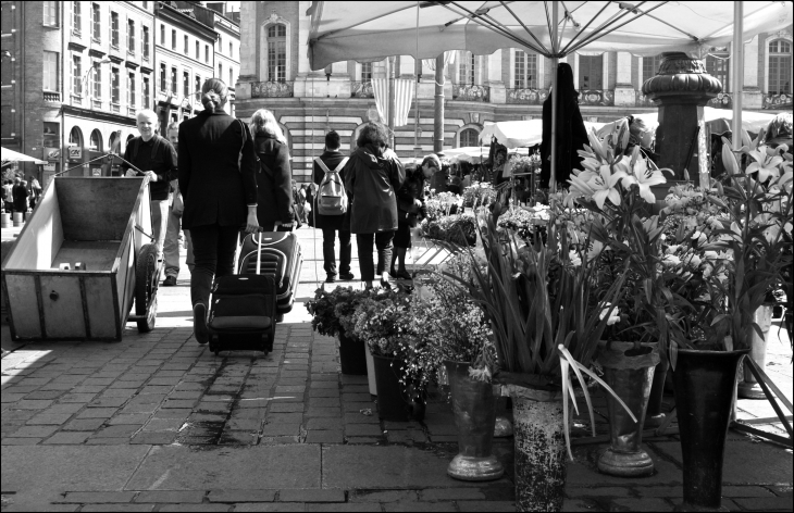 Le marché du mercredi sur la place du Capitole - Toulouse