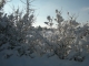 Photo précédente de Reilhaguet C'est beau la neige