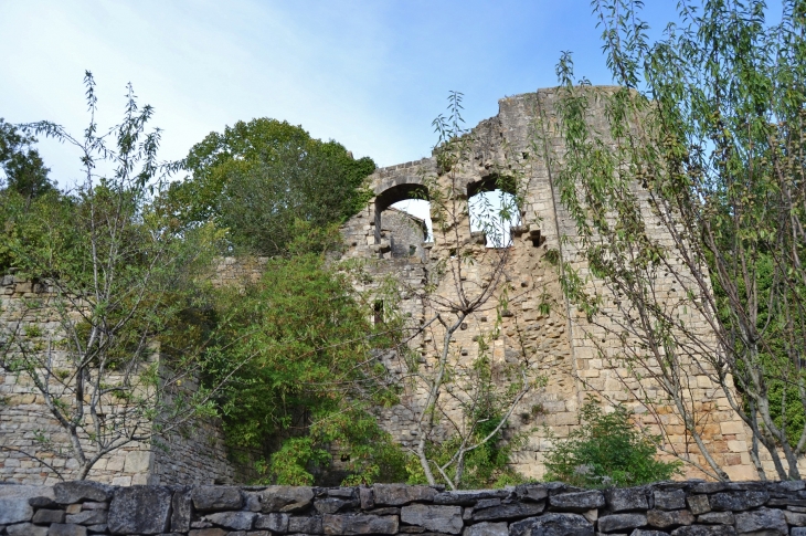 <Ruines du Château de Bruniquel
