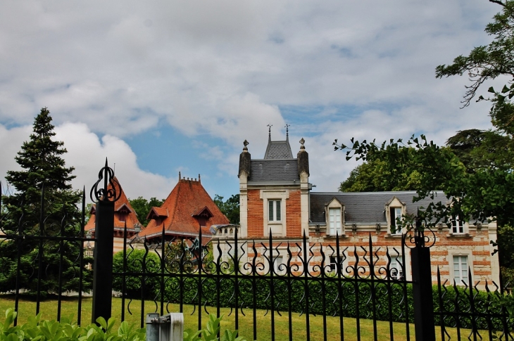 Château Saint-Roch - Le Pin