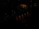 Pont Napoléon la nuit
