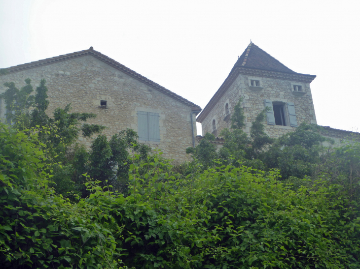 Le château - Montagudet