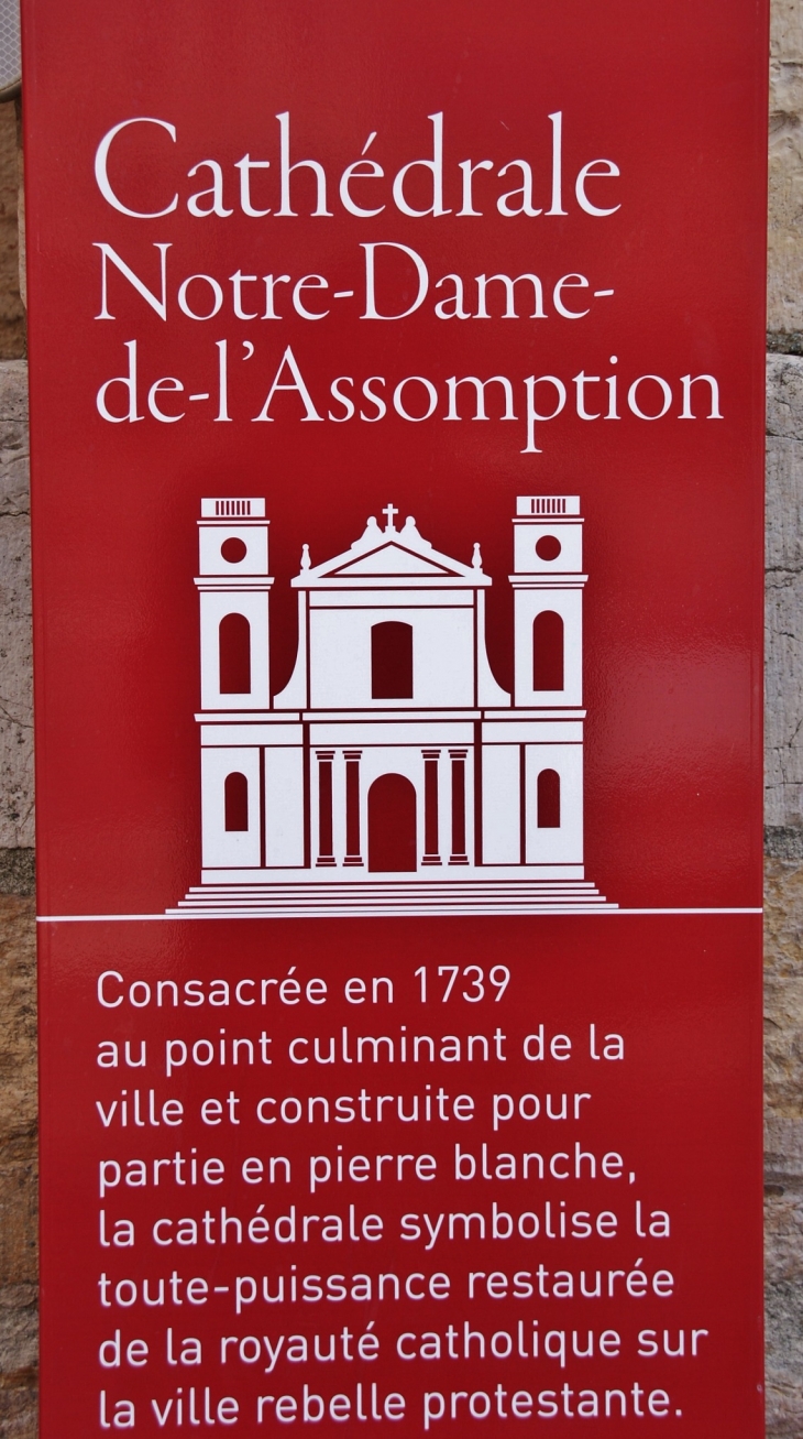 !Cathédrale Notre-Dame - Montauban