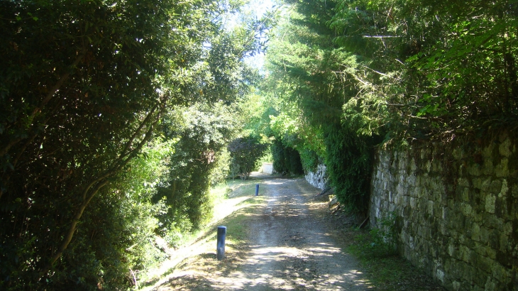 Chemin de ronde versant nord - Montjoi