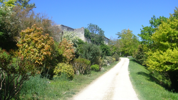 Chemin de ronde versant sud - Montjoi