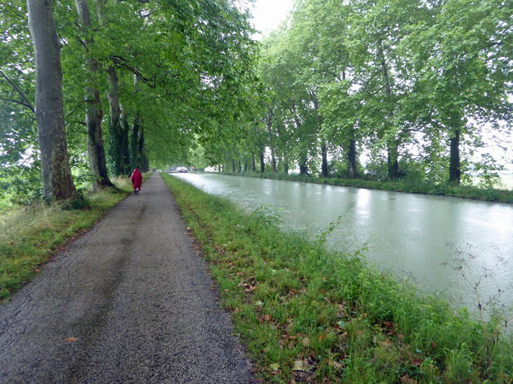 Le chemin de Saint Jacques long du canal latéral de la Garonne - Pommevic