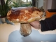 Photo suivante de Campagnac trés beau cépe (1,5 kg)