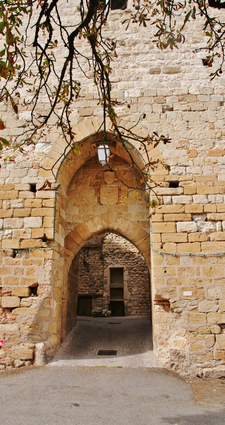 Porte des Garrics - Castelnau-de-Montmiral