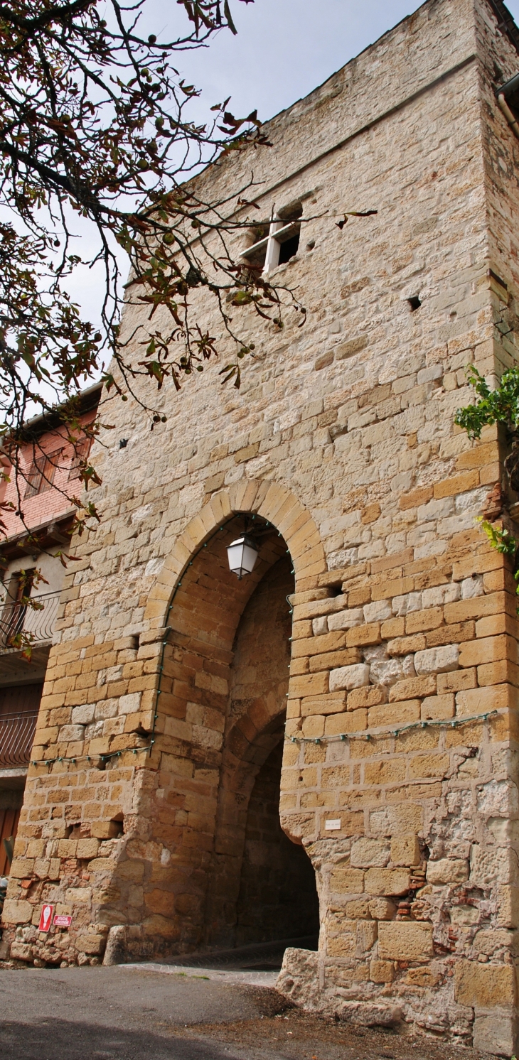 Porte des Garrics - Castelnau-de-Montmiral