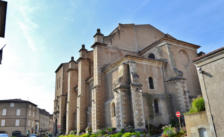 Cathédrale Saint-Benoit - Castres