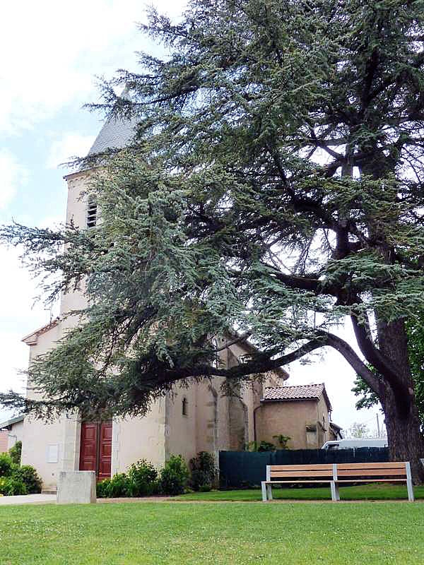 L'église - Laboutarie