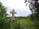 Le Rialet (81240) une croix en forêt