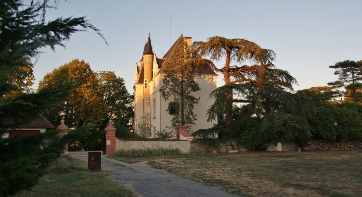 -Château de Creyssens - Puygouzon