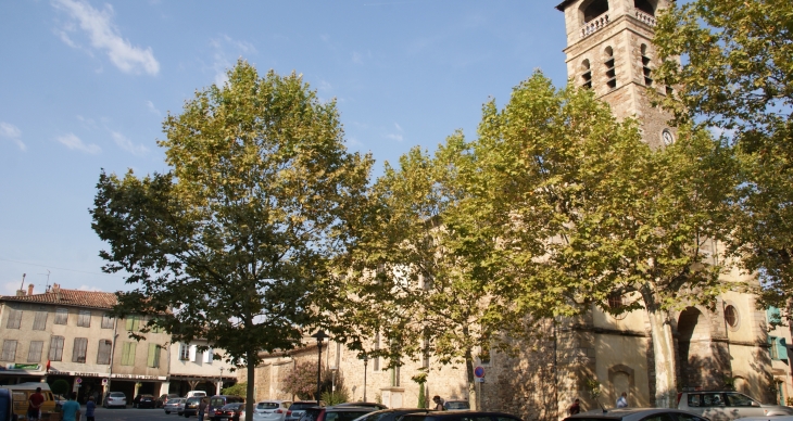 Eglise Notre-Dame de L'Assomption - Réalmont