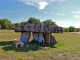Le dolmen de Peyrelevade