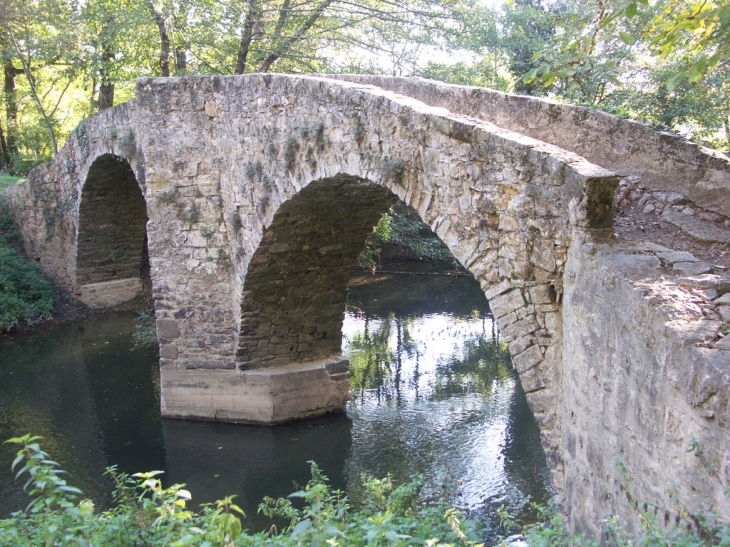 Pont des Ânes - Vindrac-Alayrac