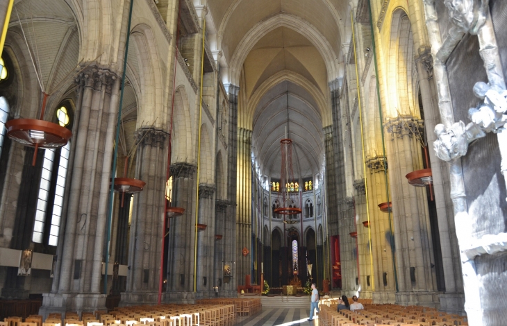 Cathédrale Notre-Dame de la Treille  - Lille