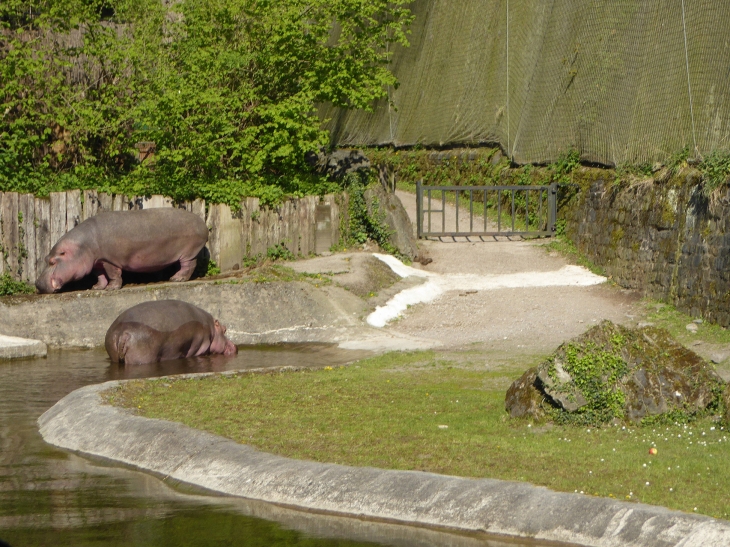 Le zoo dans la citadelle - Maubeuge
