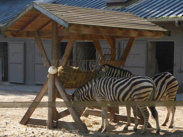 Le zoo dans la citadelle - Maubeuge