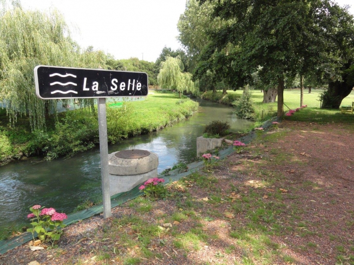 Montrécourt (59227) la Selle