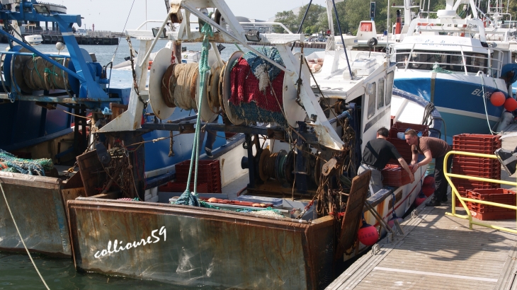 Bateaux de pêche au port - Boulogne-sur-Mer