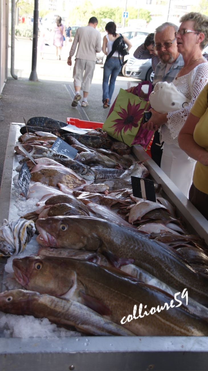 Vente de la pêche du jour - Boulogne-sur-Mer