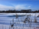 le froid est tombé sur le marais de cambrin