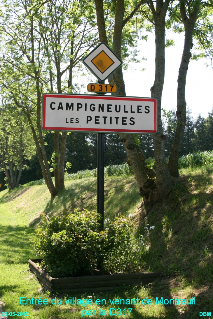 L'entrée du village en venant de Montreuil par la D317 - Campigneulles-les-Petites