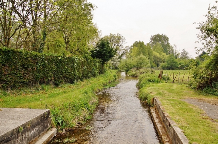 Ruisseau de Camiers - Dannes