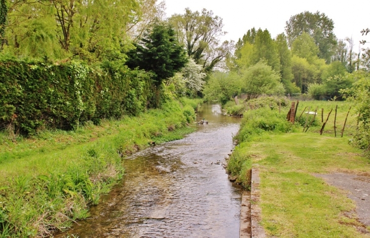 Ruisseau de Camiers - Dannes