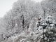 Photo suivante de Guînes neige sur les arbres