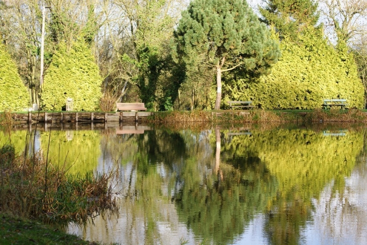 Etangs la Claire Fontaine - Hersin-Coupigny