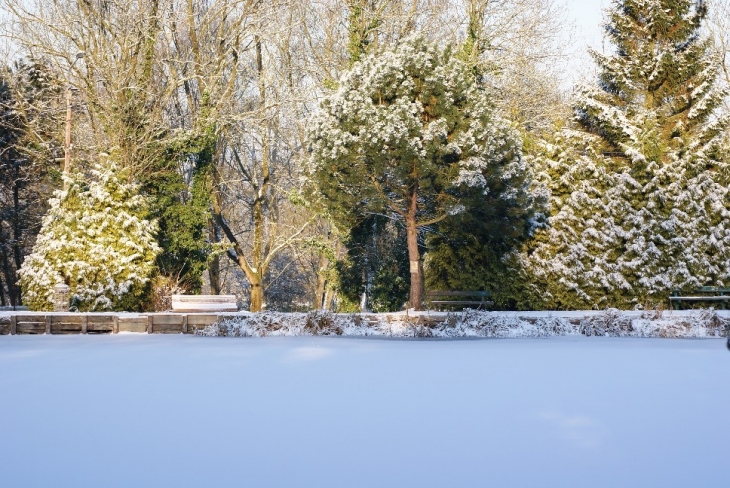 Etangs la Claire Fontaine sous la neige - Hersin-Coupigny