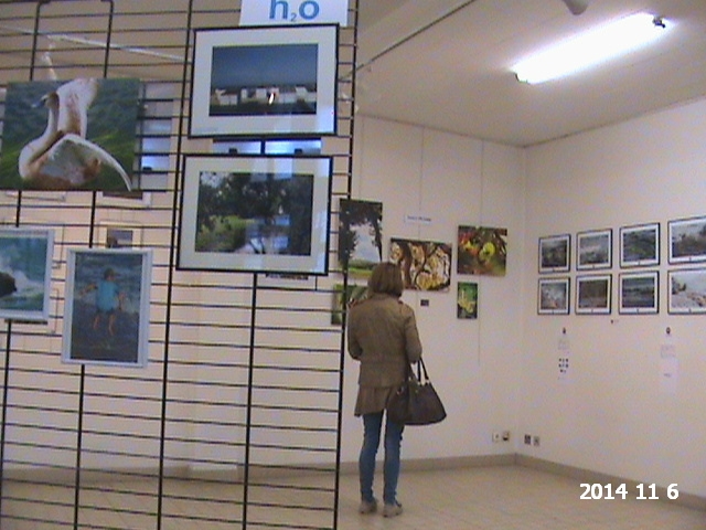Exposition photographie nature  - Hesdin