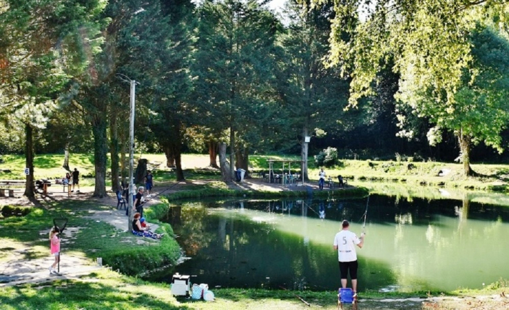 L'étang - Rebreuve-Ranchicourt