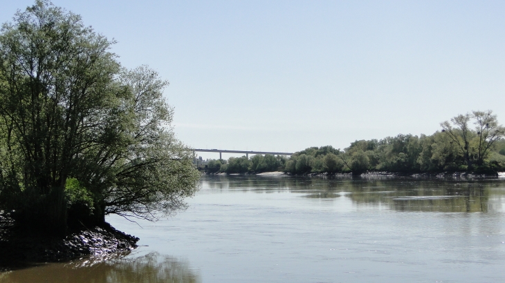 Le pont de Cheviré vu d'Indre