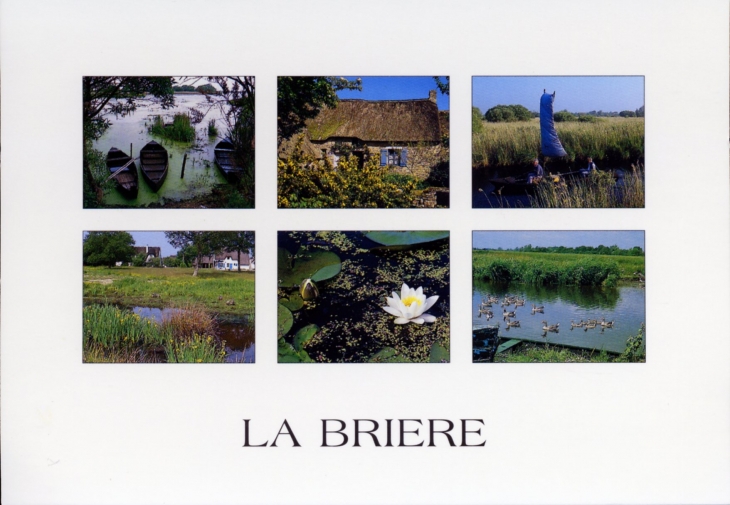 Parc régional de Brière - Réserve naturelle de 40000ha de faune et de flore exceptionnelles (carte postale). - La Baule-Escoublac