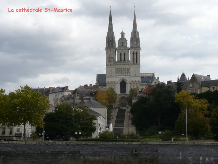 La Cathédrale - Angers