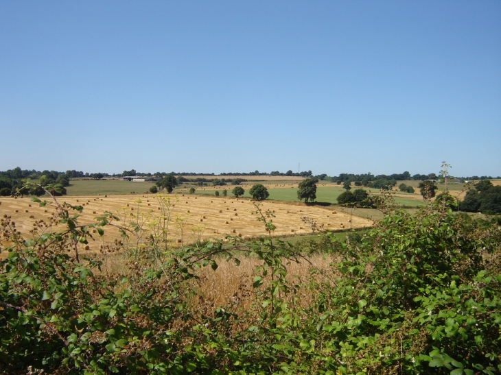 Les champs vus du village - Châtelais