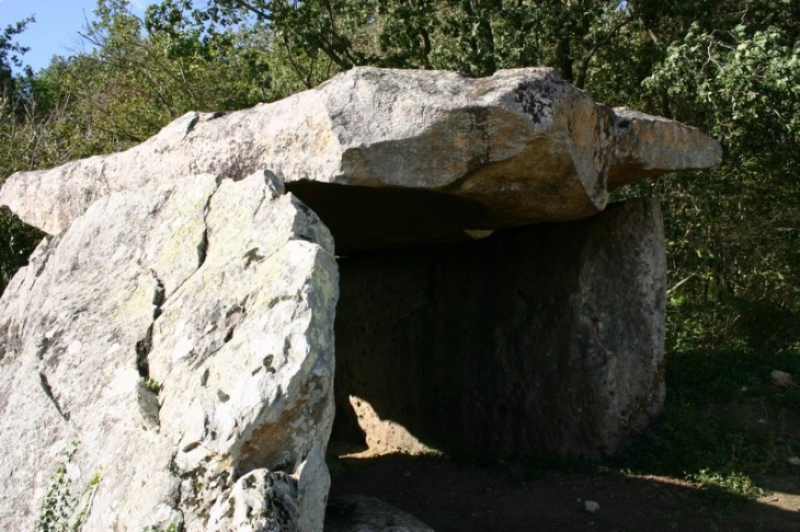 Le dolmen de Saugré - Dénezé-sous-Doué