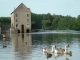 Photo précédente de Montreuil-sur-Maine Les oies du Moulin
