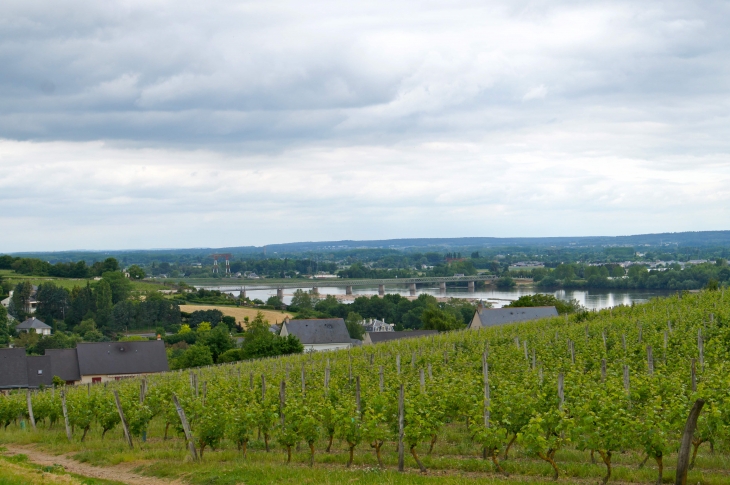 La vue sur la vallée de la Loire, du moulin de la tranchée - Montsoreau