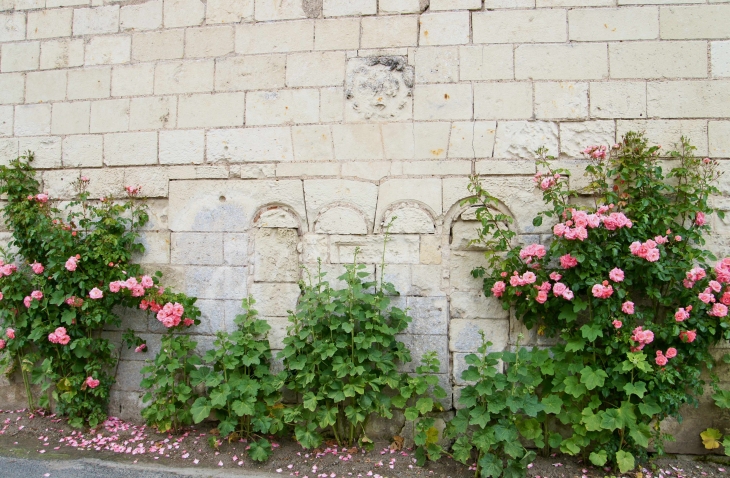 Mur de tuffeau de l'église Saint Pierre de Rest. - Montsoreau