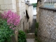Photo suivante de Montsoreau Ruelle de la vieille porte.
