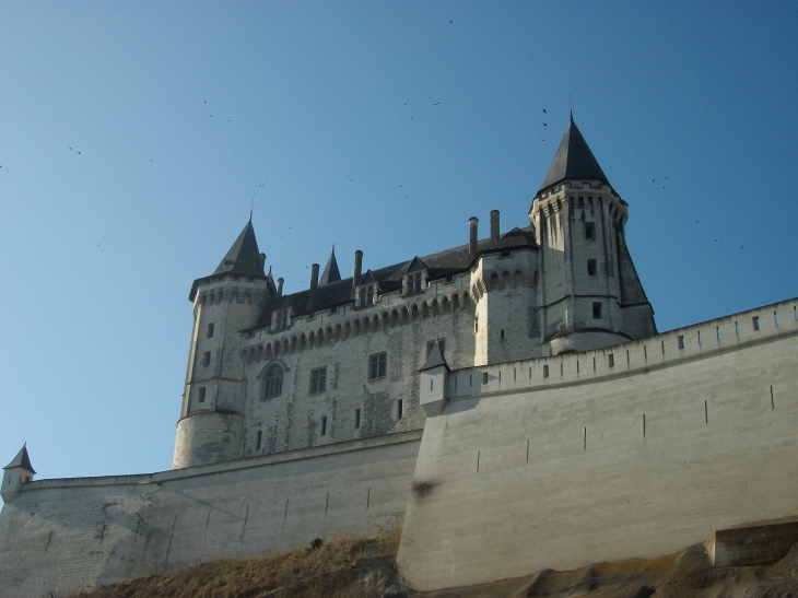 Le chateau - Saumur