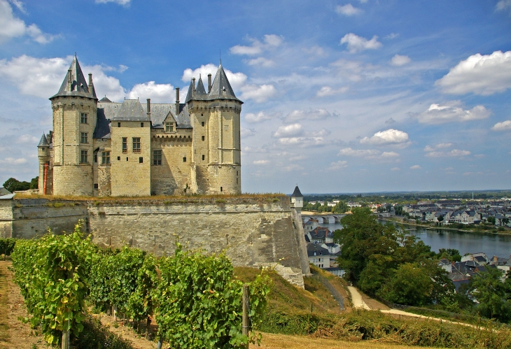 Courant la deuxième moitié du 14ème siècle, Louis 1er d'Anjou, frère de Charles V et de Jean de Berry, transforme la forteresse médiévale en château d'agrément. Le château de Saumur fut, à cette époque, immortalisé par le livre d'heures des «Très riches h