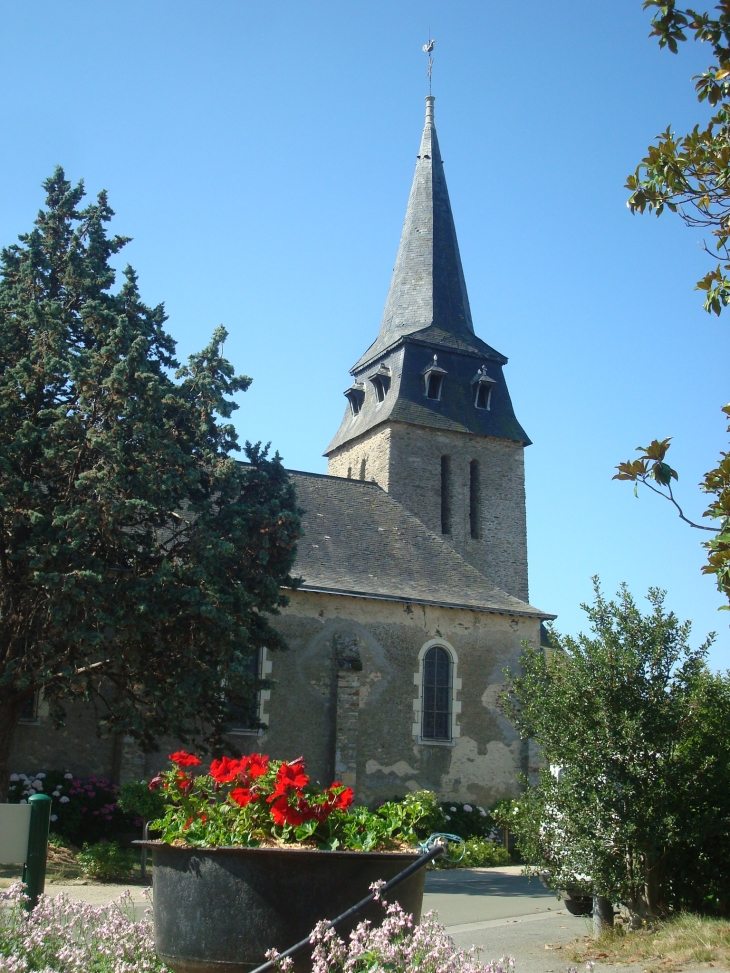 Eglise Saint-Pierre - Bierné